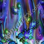 Colour:F