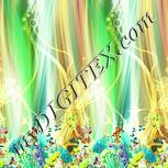 Colour:K