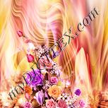 Colour:J