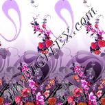 Colour:B