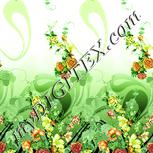 Colour:K