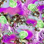 Colour:D