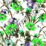Colour:D