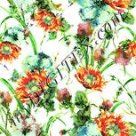 Colour:K