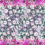 Colour:B