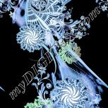 Colour:F