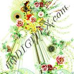 Colour:K