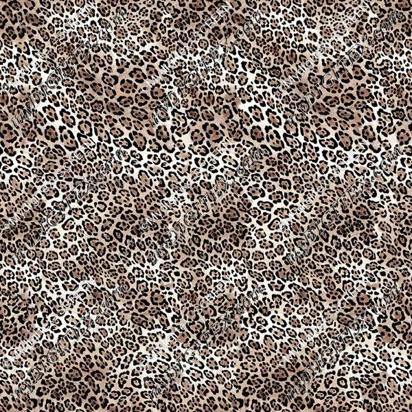 1008576