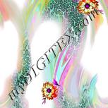 Colour:B