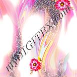 Colour:J