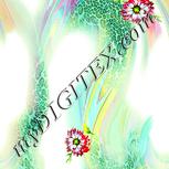 Colour:K