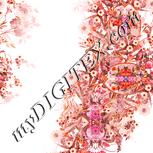 Colour:J