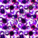 Colour:B