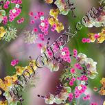 Colour:B