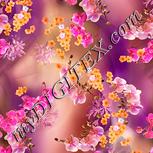 Colour:J