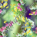 Colour:K