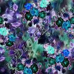 Colour:F