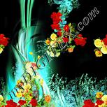 Colour:K