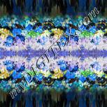 Colour:F