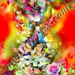 Colour:A