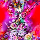 Colour:B
