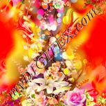 Colour:J