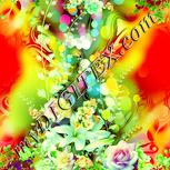 Colour:K