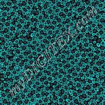 Colour:F