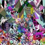 Colour:B