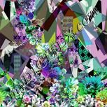 Colour:C