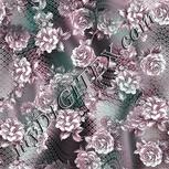 Colour:C