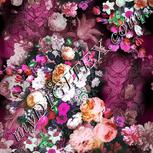 Colour:B