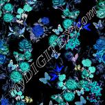 Colour:F