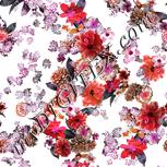 Colour:B