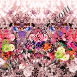 Colour:J
