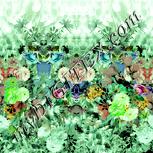 Colour:K
