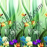 Colour:K