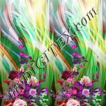 Colour:B