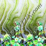 Colour:D