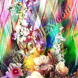 Colour:A