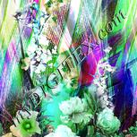 Colour:C