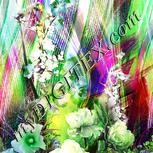 Colour:D