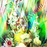 Colour:K