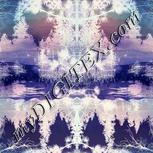 Colour:F