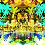Colour:K