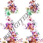 Colour:B