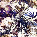 Colour:A