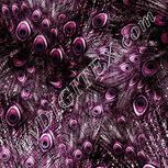 Colour:B