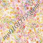 Colour:A
