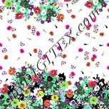 Colour:B